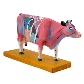 Анатомическая модель животного коровы Анатомическая модель коровы для иглоукалывания и прижигания,