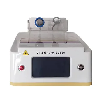 Машина для похудения Использует лазерную машину для удаления боли в венах 980 Нм Ветеринарная обработка поражений Устраняет боль Лазерная машина для собак