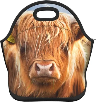 Сумка для ланча в стиле ретро, Неопреновая сумка для ланча Highland Cattle, изолированный ланч-бокс, сумка-тоут для взрослых/детей/путешествий/пикника/работы